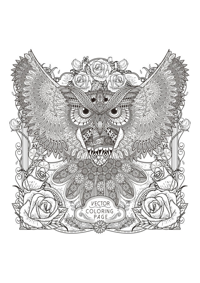 Coloriage Adulte Hibou Zentangle - Adulte à imprimer